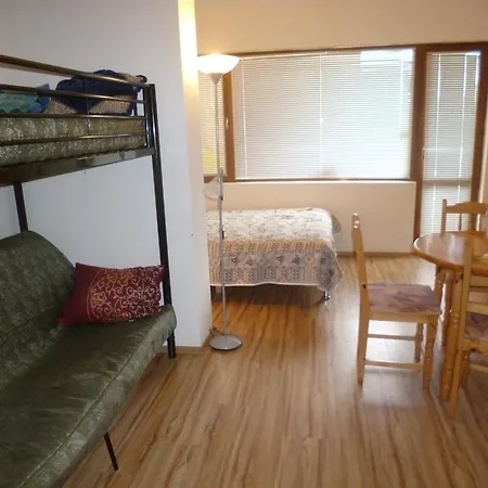 Apartment Chaika Studio *