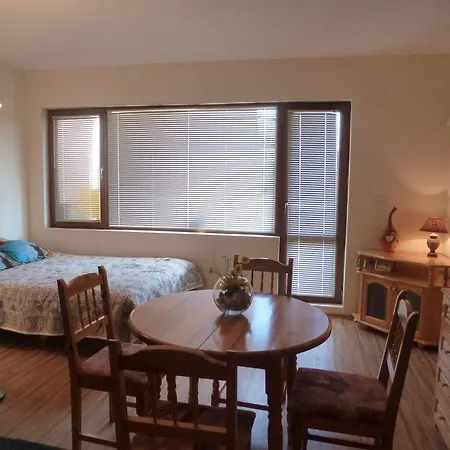 Chaika Studio Apartment