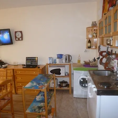 Apartment Chaika Studio *